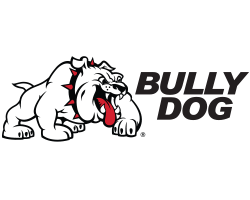 Bully Dog