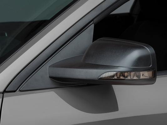 Raxiom Directional Sideview Mirrors With Turn Signals