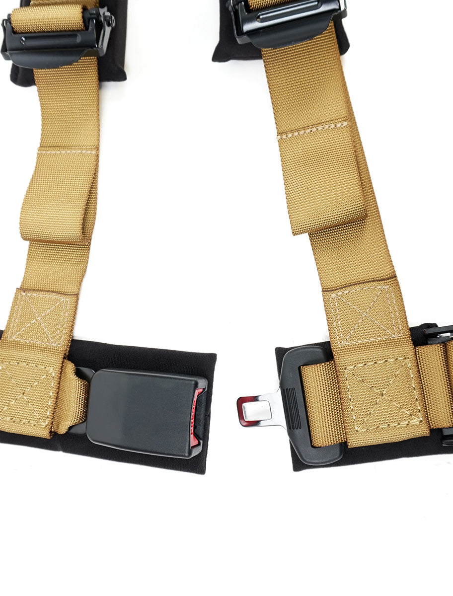 4-POINT HARNESS – GOLD