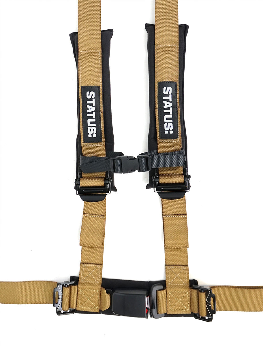 4-POINT HARNESS – GOLD